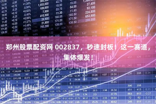 郑州股票配资网 002837，秒速封板！这一赛道，集体爆发！