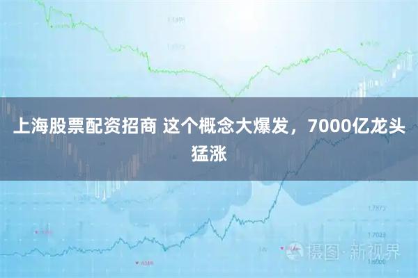 上海股票配资招商 这个概念大爆发，7000亿龙头猛涨