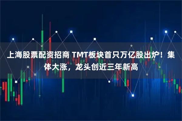 上海股票配资招商 TMT板块首只万亿股出炉！集体大涨，龙头创近三年新高