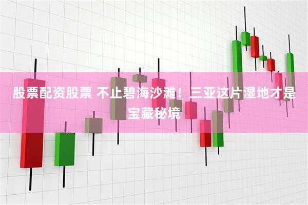 股票配资股票 不止碧海沙滩！三亚这片湿地才是宝藏秘境